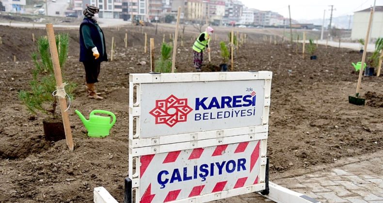 Karesi’de fidanlar toprakla buluşuyor