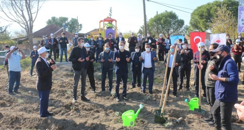 Karpuzlu Gölcük’te lavanta fidanları dualarla toprakla buluşturuldu