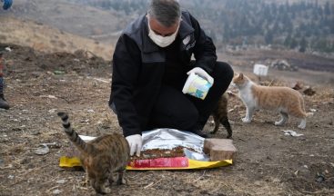 Kayseri İl Tarım ve Orman Müdürlüğü soğuk havalarda sokak hayvanlarını unutmadı
