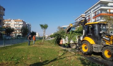 Kent merkezinde kapsamlı bakım-onarım