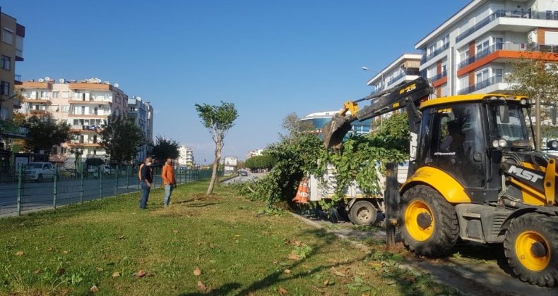 Kent merkezinde kapsamlı bakım-onarım