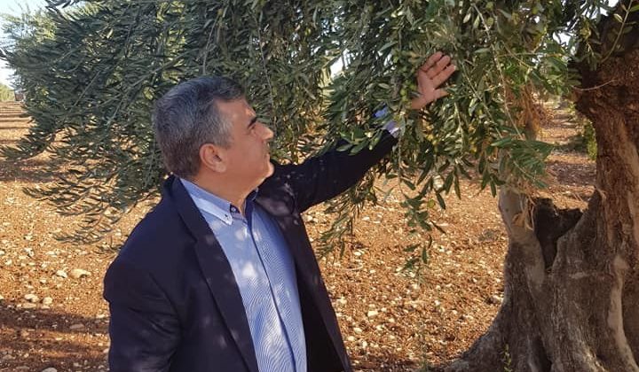 Kilis Zeytinyağına talep arttı