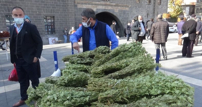 Kış aylarının vazgeçilmez içeceği adaçayına pandemide talep arttı