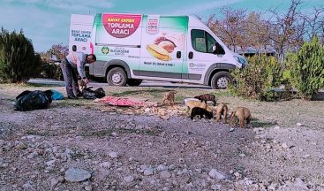 Kısıtlama günlerinde sokak hayvanları unutulmadı