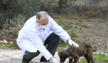 Kısıtlamada sokak hayvanlarını unutmadılar