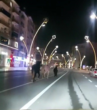 Kısıtlamada sokaklar atlara kaldı
