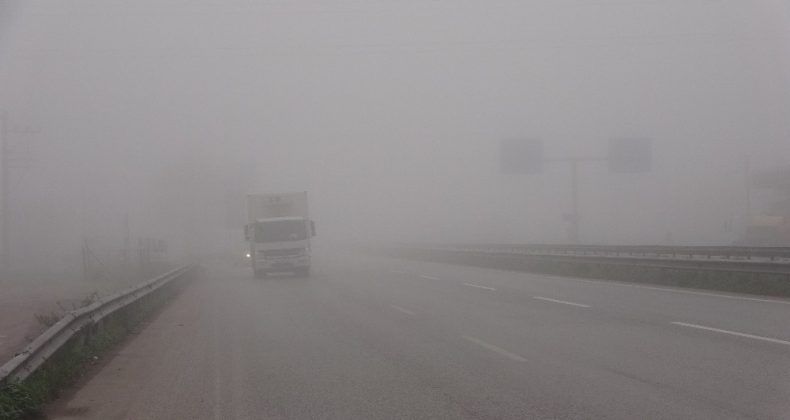 Kocaeli’de yoğun sis