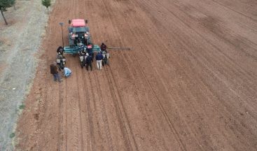 Konya lavantanın merkezi olacak