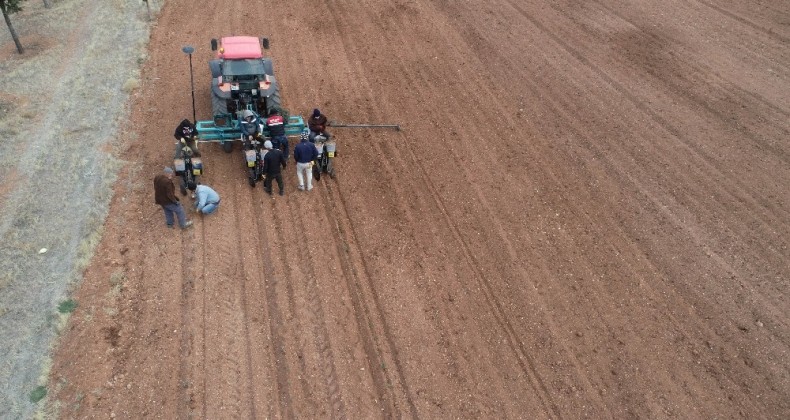 Konya lavantanın merkezi olacak