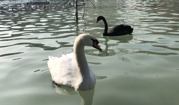 Konya’da Aralık ayında güneşli hava keyfi