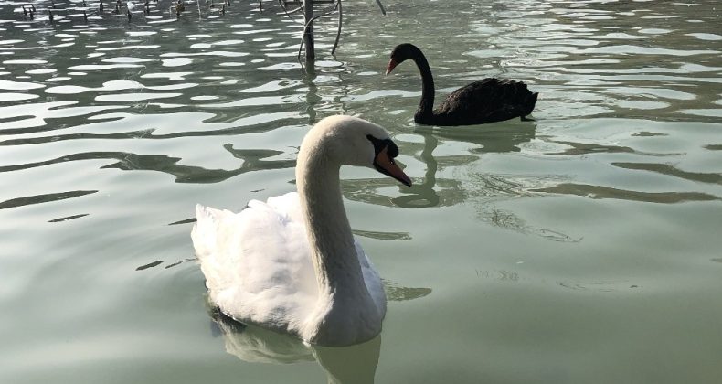 Konya’da Aralık ayında güneşli hava keyfi