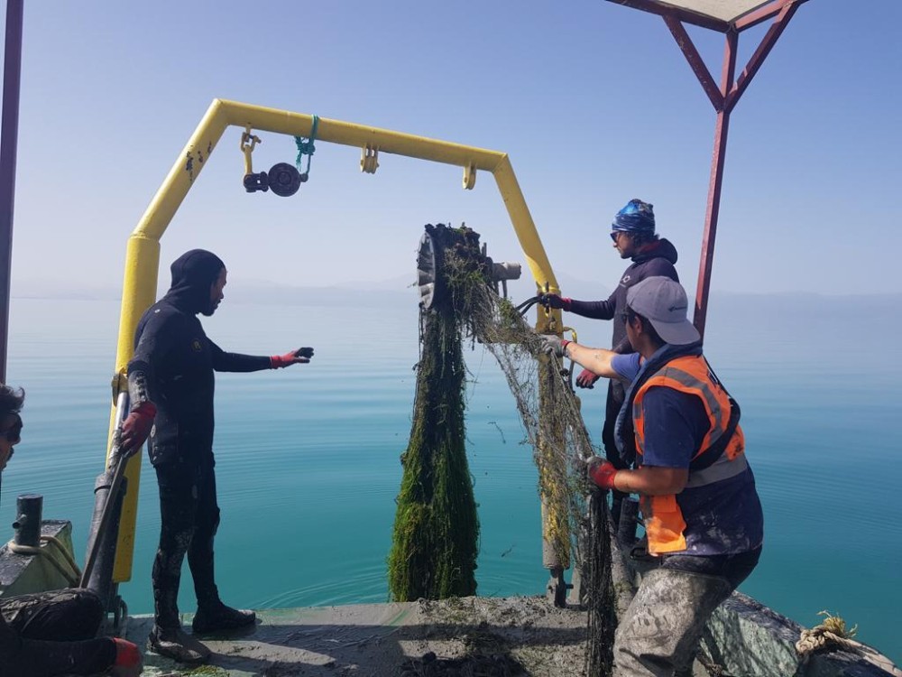 Konya’nın incisi Beyşehir Gölü temizleniyor