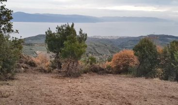 Korona virüsü fırsat bilen uyanıklar, devlet arazilerine kondu