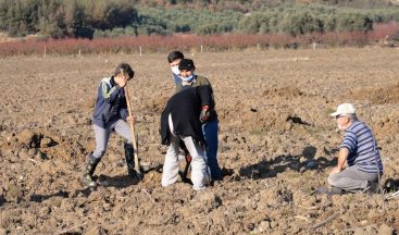 Köylülerden imece usulü ceviz bahçesi