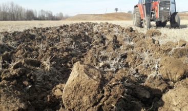 Kuraklık yaşayan çiftçiler tarlalarını süremiyor