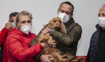 Kuyuya düşen köpek kurtarıldı