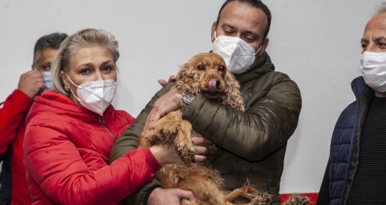 Kuyuya düşen köpek kurtarıldı