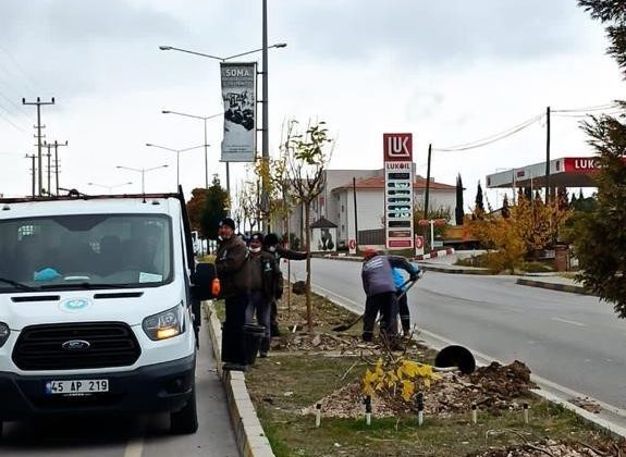 Maden Şehitleri Caddesi ağaçlandırılıyor