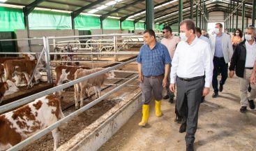 Mersin Büyükşehir Belediyesi, 2021’de tarım projelerine 24 milyon lira harcayacak