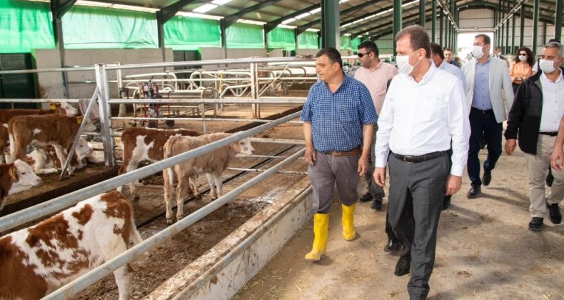 Mersin Büyükşehir Belediyesi, 2021’de tarım projelerine 24 milyon lira harcayacak