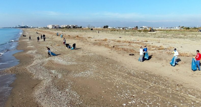 Mersin’de deniz kaplumbağalarının yuvalama alanı temizlendi