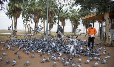 Mersin’de sokağa çıkma yasağında sokak hayvanları unutulmadı