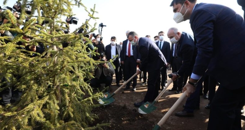 Millet bahçesinin ilk fidanını bakan Murat Kurum dikti
