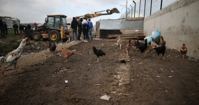 Milyonluk arazideki gecekondu kümesler toma ve çevik kuvvet eşliğinde yıkıldı