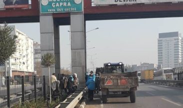 Mimar Sinan Bulvarı artık daha yeşil