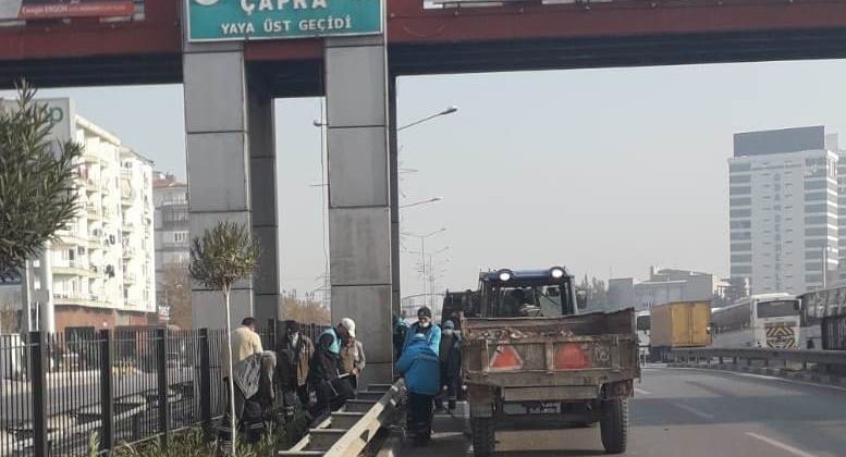 Mimar Sinan Bulvarı artık daha yeşil