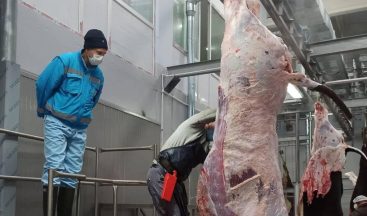 Kütahyalı Vatandaşlarımız Sağlıklı ve Güvenilir Et Tüketecek