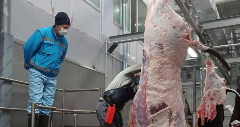 Kütahyalı Vatandaşlarımız Sağlıklı ve Güvenilir Et Tüketecek