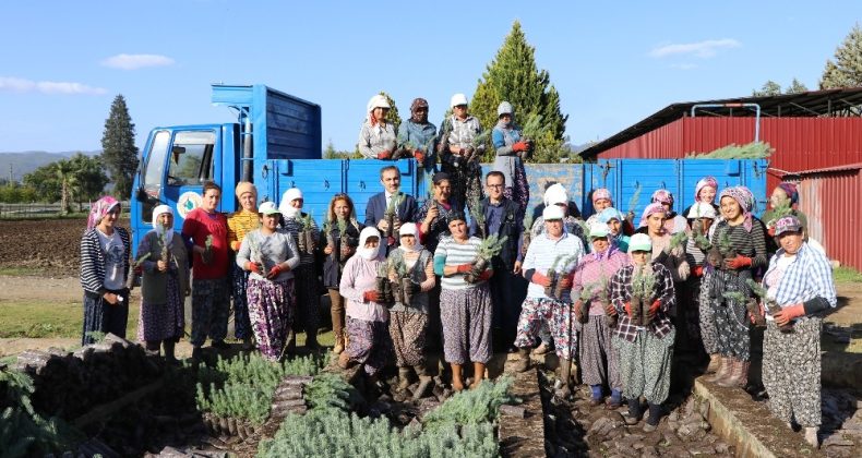Muğla OBM’de 9,8 Milyon fidan üretildi