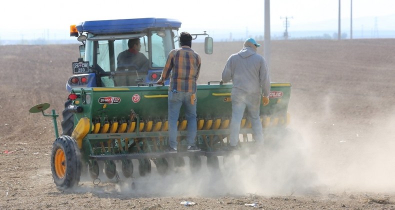 Odunpazarı Belediyesi’nin 650 dekarlık tarım arazisinde arpa ekimine başladı
