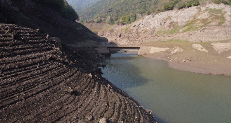Önlem alınmazsa kuraklık korona virüsten daha tehlikeli hastalıklara yol açacak