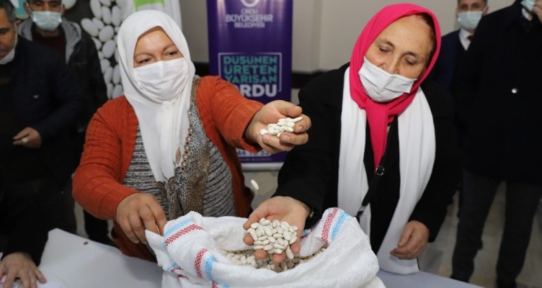 Ordu’da Büyükşehir üreticinin yüzünü güldürdü