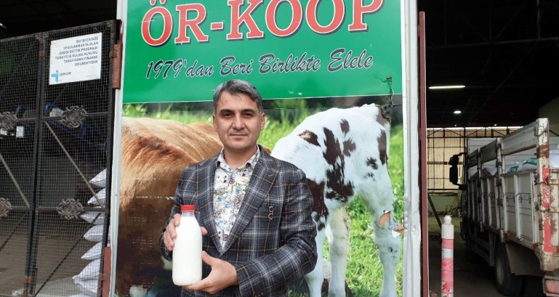 Süte 50 kuruş zam geldi, ama yemciler duymasın