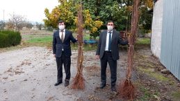 Osmaniye’de çiftçilere vişne fidanı dağıtıldı