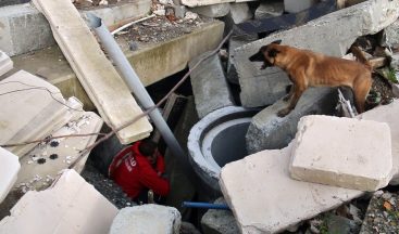 AFAD’ın Köpekleri Afetlerde Görev Alıyor