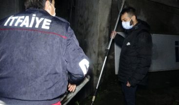 Esnafın Dikkati Köpeğin Hayatını Kurtardı