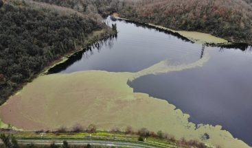 İstanbul’da Elmalı barajı alarm veriyor, Yüzde 24.32’ye düştü