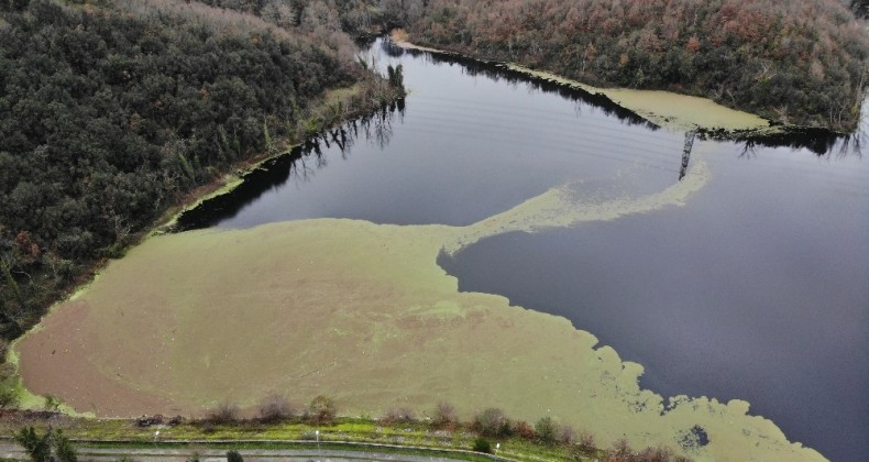 İstanbul’da Elmalı barajı alarm veriyor, Yüzde 24.32’ye düştü