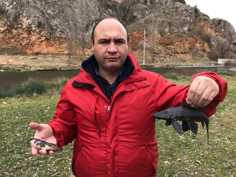 Suların kalitesini yok eden istilacı balıklar Eskişehir’de görüldü