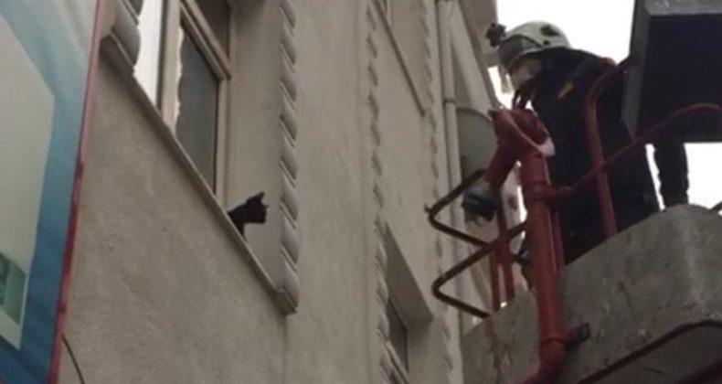Pencere önünde mahsur kalan kediyi itfaiye kurtardı