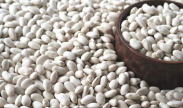 Posof fasulyesi coğrafi işaretini aldı