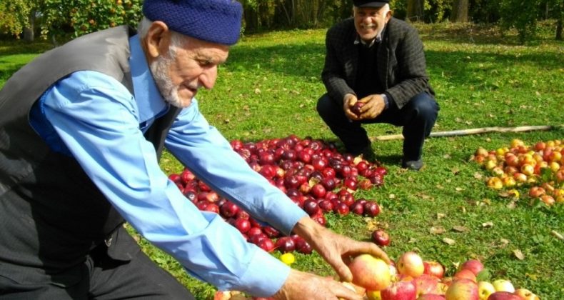 ‘Posof’lu Eller Yöresel Ürünler Projesi’ tanıtıldı