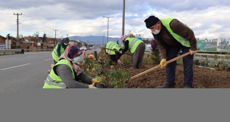 Düzce’de Refüjler Çiçekleniyor