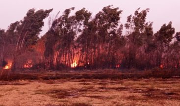 Kasım Ayında 85 Ayrı Yangın
