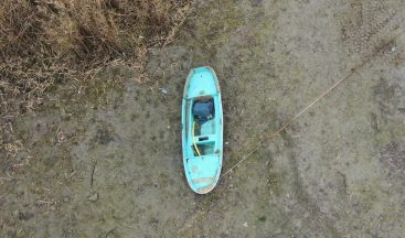 Sapanca Gölü’nde korkutan manzara