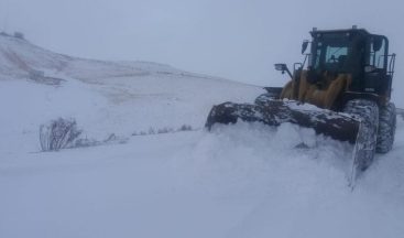 Van Saray’da Kar Hayatı Olumsuz Etkiledi